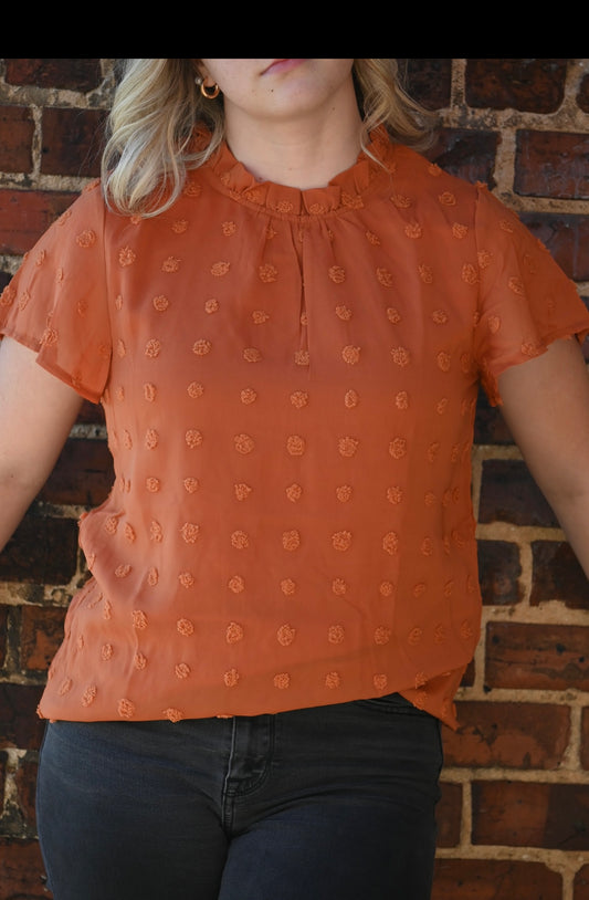 Brown Ruffled Sleeve Swiss Dot T-shirts